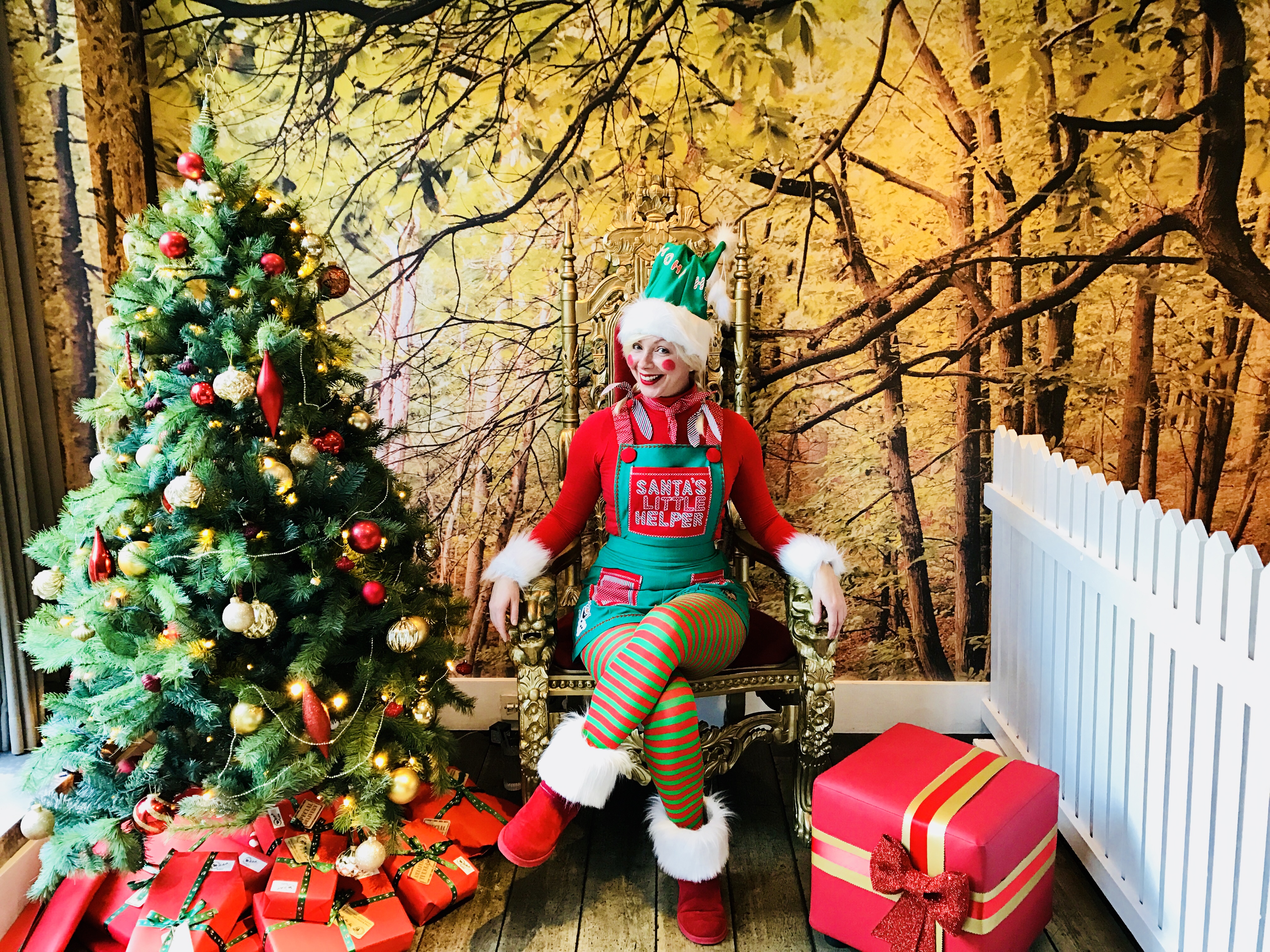 Santa's Elf at a grotto experience