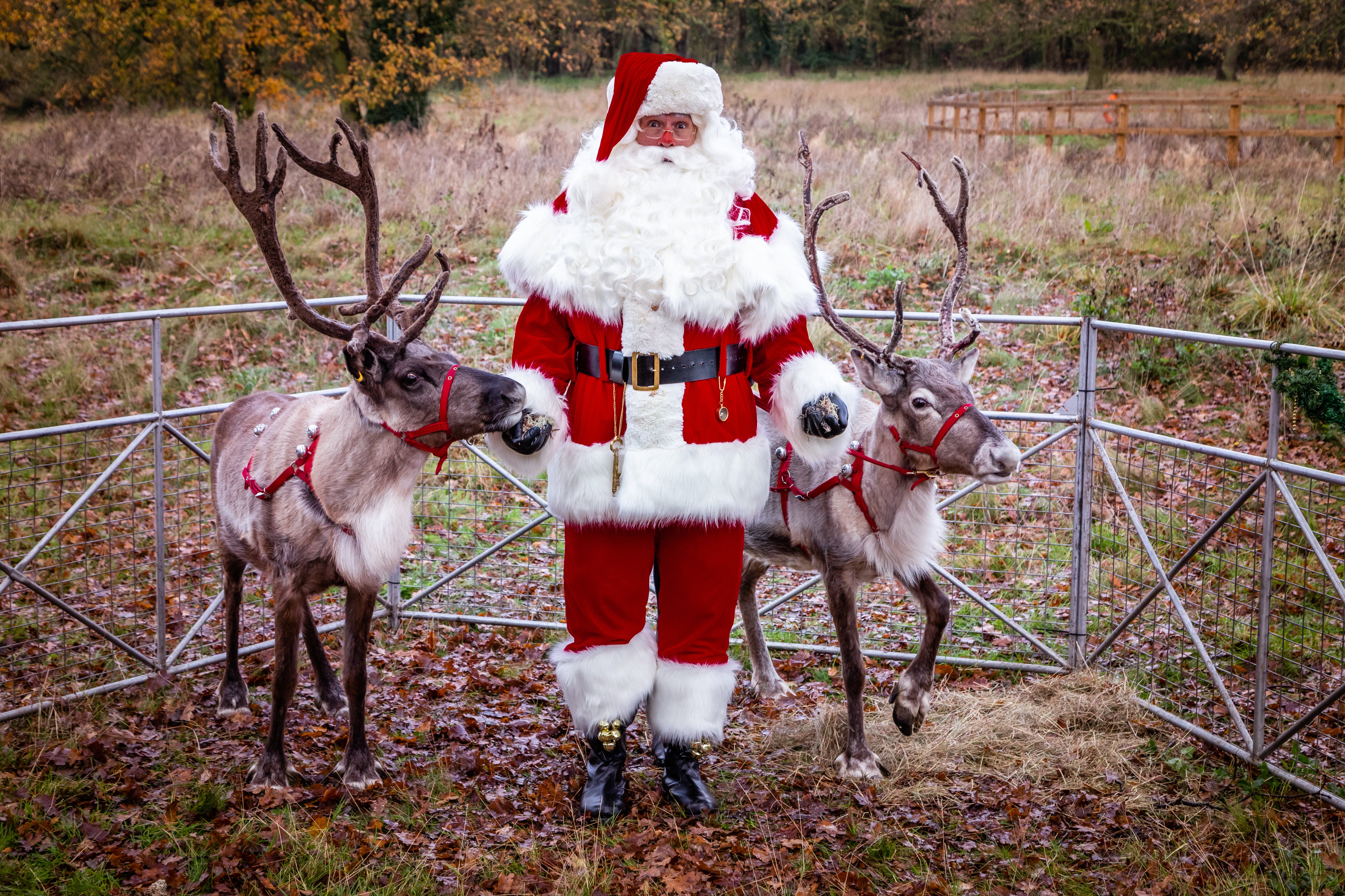 Christmas Characters